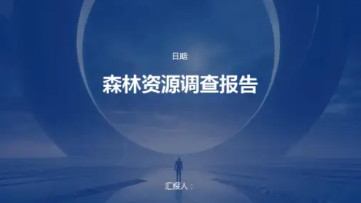 森林资源调查报告