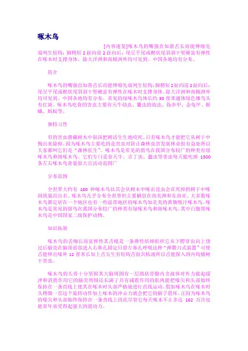 啄木鸟