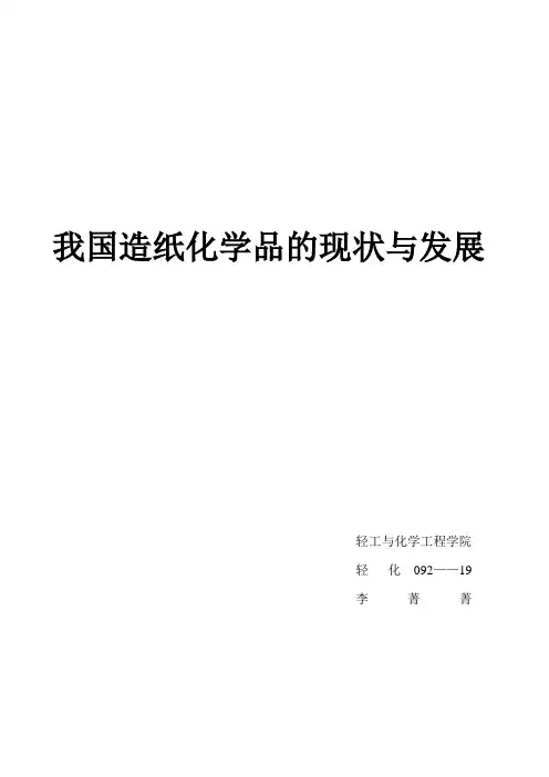 造纸化学品