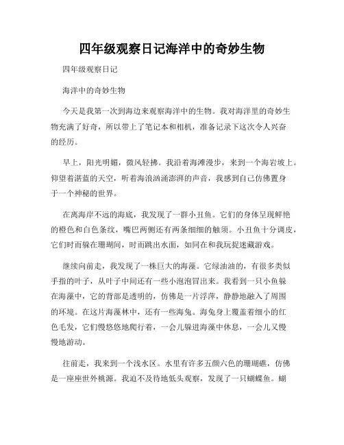 四年级观察日记海洋中的奇妙生物