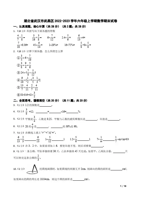 湖北省武汉市武昌区2022-2023学年六年级上学期数学期末试卷