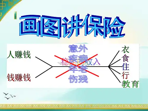 画图讲保险之鱼骨图