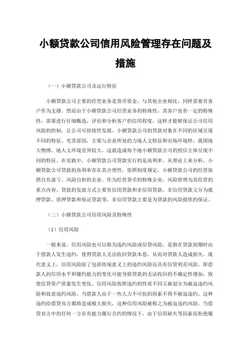 小额贷款公司信用风险管理存在问题及措施