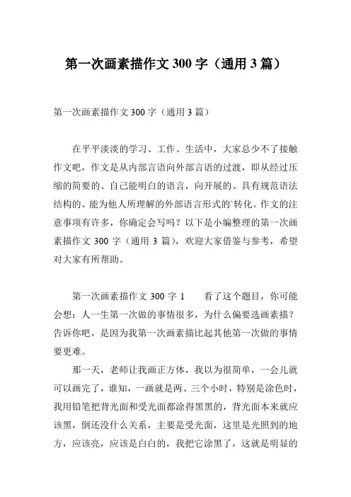 第一次画素描作文300字(通用3篇)