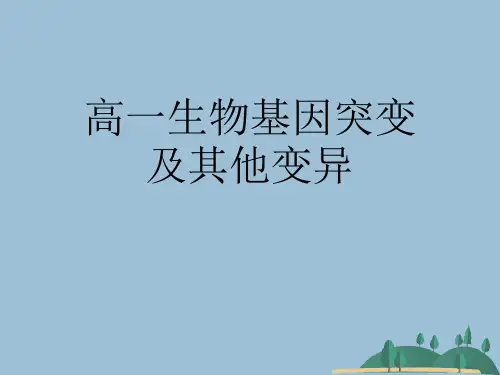 高一生物基因突变及其他变异