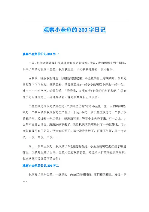 观察小金鱼的300字日记
