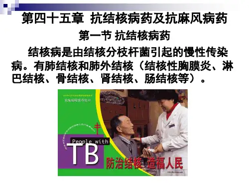 抗结核药精品PPT课件