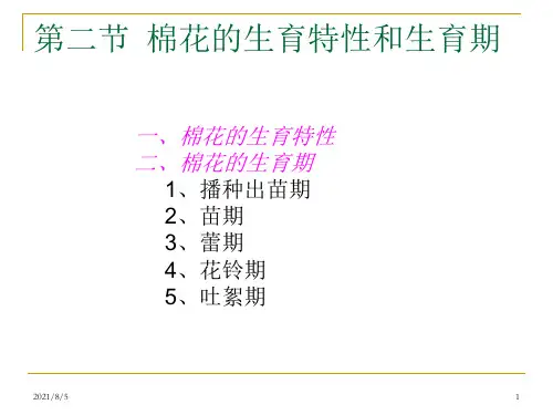 棉花栽培学课件 第二节  棉花的生育期