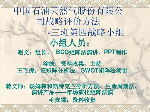 中石油具体战略分析