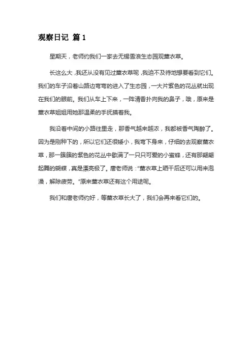 观察日记 10