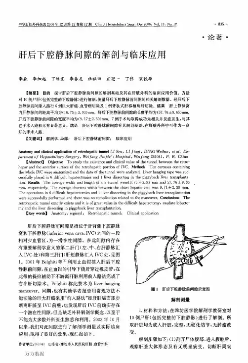 肝后下腔静脉间隙的解剖与临床应用(1)
