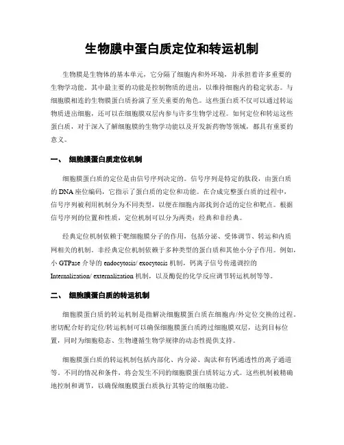 生物膜中蛋白质定位和转运机制
