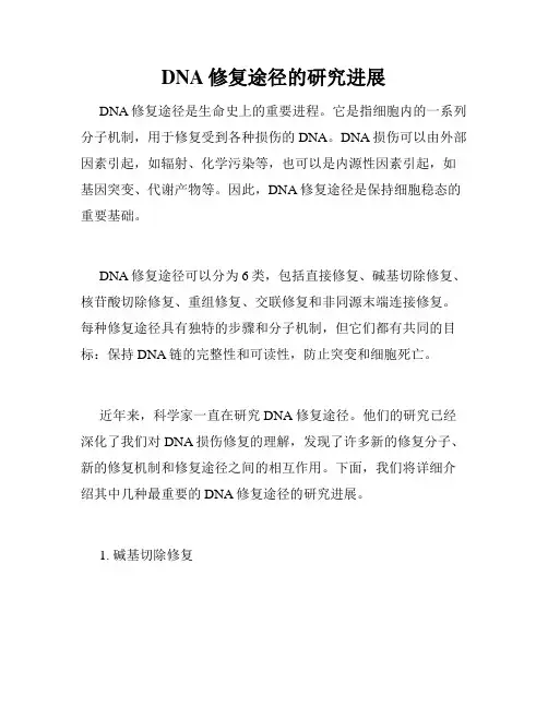 DNA修复途径的研究进展