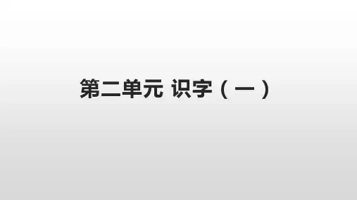 统编版语文二年级上册第二单元 识字单元 课件(共14张PPT)