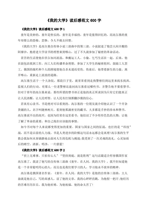 《我的大学》读后感范文600字