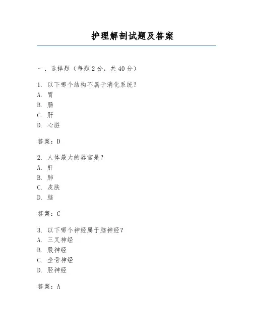 护理解剖试题及答案