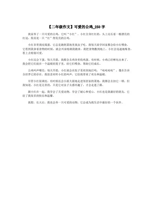 【二年级作文】可爱的公鸡_250字