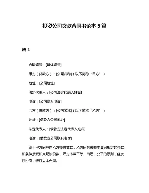 投资公司贷款合同书范本5篇