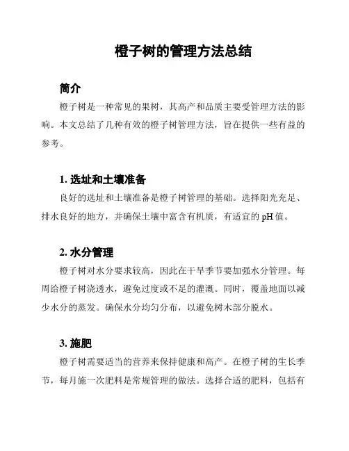 橙子树的管理方法总结
