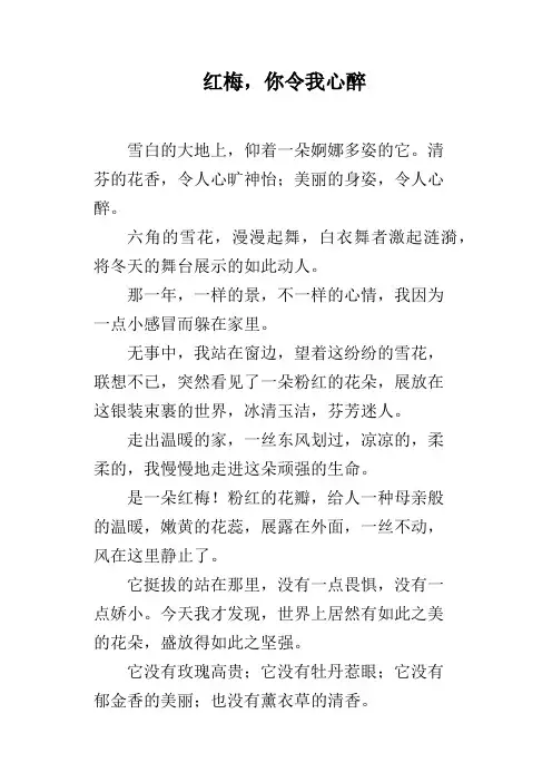 红梅,你令我心醉