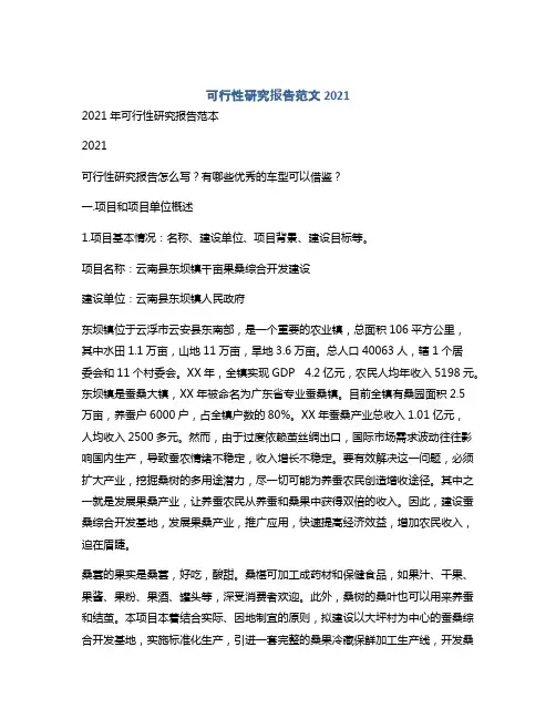 可行性研究报告范文2021