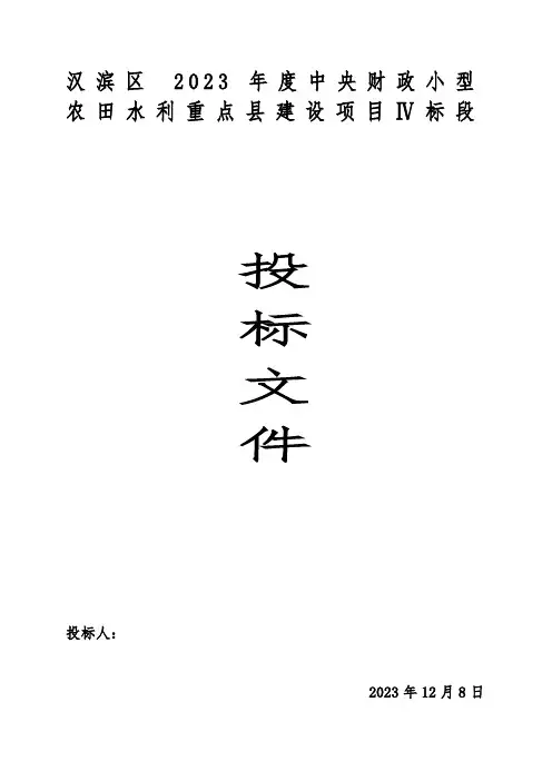 农田水利项目技术标