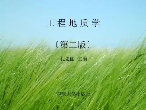 工程地质学第1章  岩石及其工程地质性质PPT