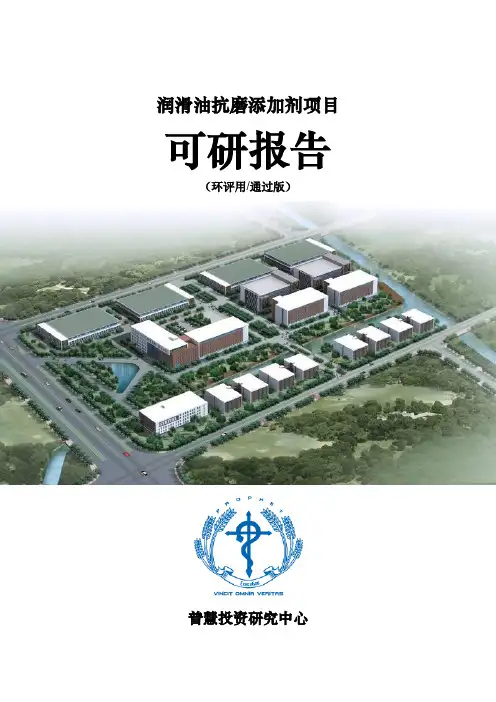 润滑油抗磨添加剂项目可研报告环评用(通过版)