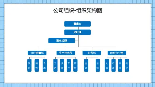 公司组织架构图模板(完整版)可编辑 (14)