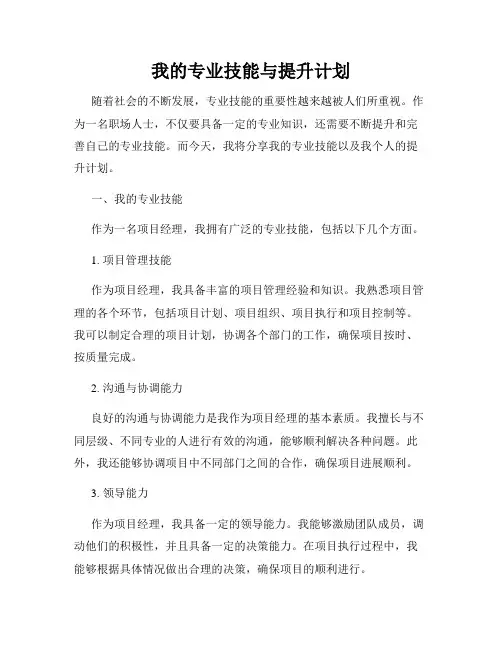 我的专业技能与提升计划