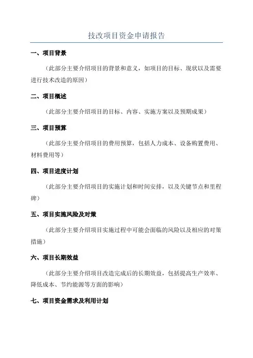 技改项目资金申请报告