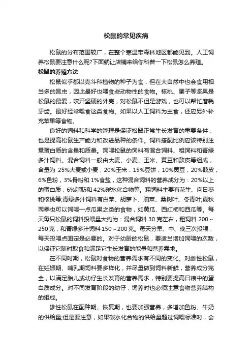 松鼠的常见疾病