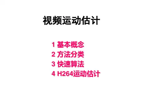 视频运动估计