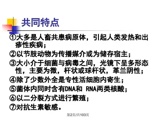 病毒感染诊断与防治立克次氏体和衣原体