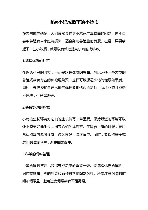 提高小鸡成活率的小妙招