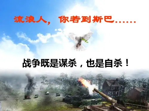 流浪人,你若到斯巴1解析