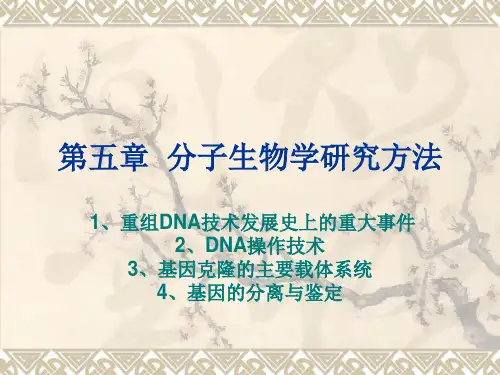 第五章分子生物学研究方法20220313230.pptx