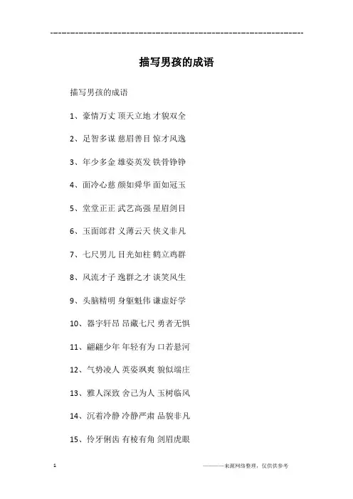 描写男孩的成语