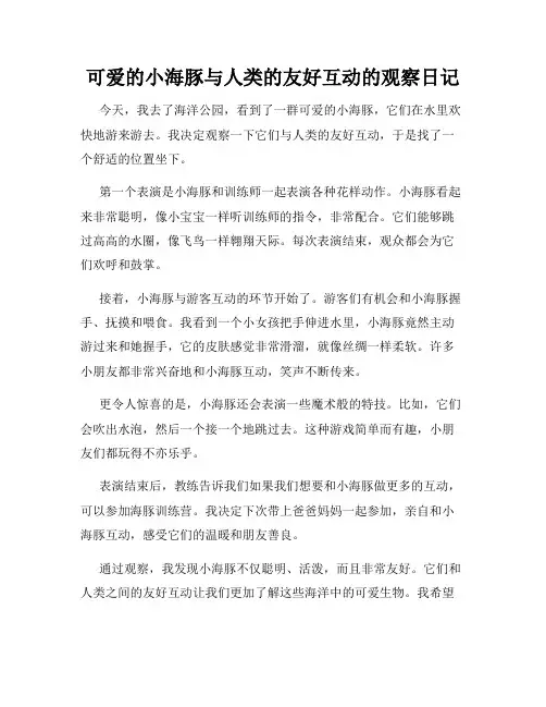 小学三年级作文可爱的小海豚与人类的友好互动的观察日记