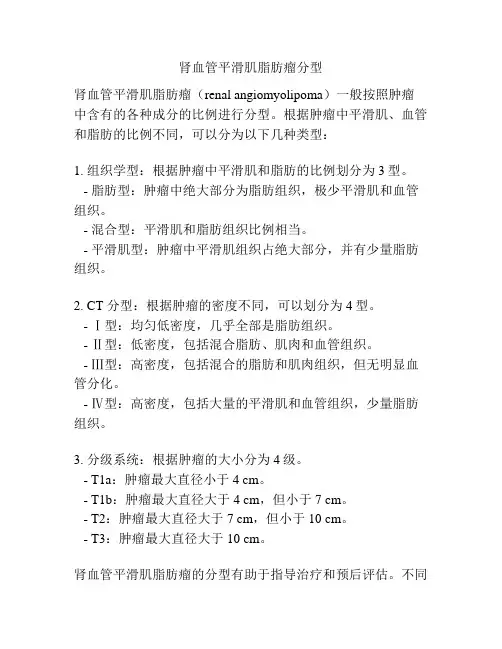 肾血管平滑肌脂肪瘤分型