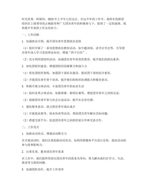 半年工作总结群团