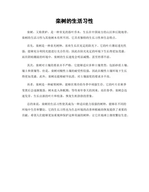 栾树的生活习性
