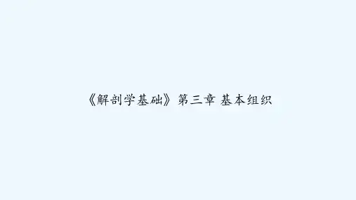 《解剖学基础》第三章 基本组织 PPT