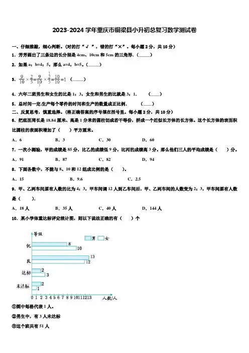 2023-2024学年重庆市铜梁县小升初总复习数学测试卷含解析