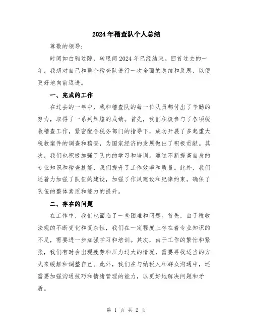 2024年稽查队个人总结