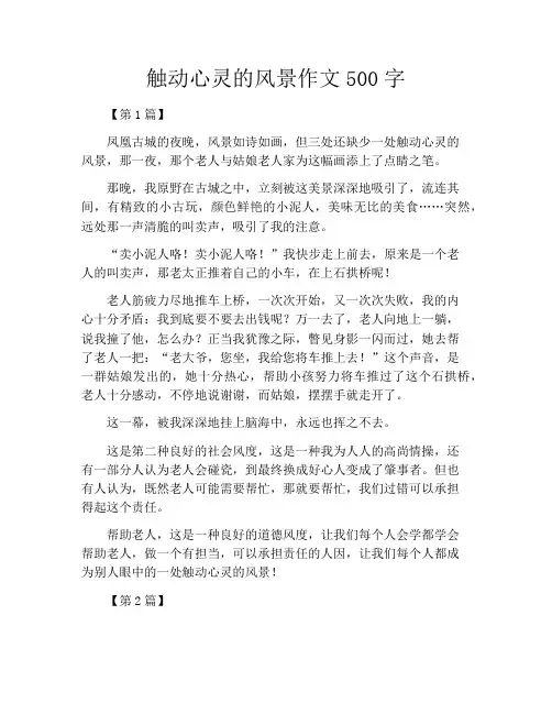 触动心灵的风景作文500字
