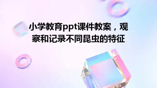 小学教育ppt课件教案,观察和记录不同昆虫的特征