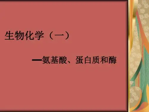 生物化学——氨基酸、蛋白质和酶 PPT课件
