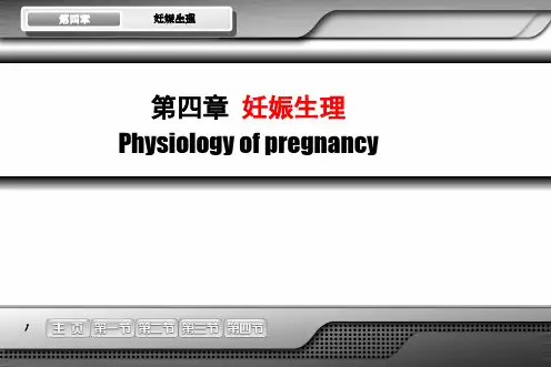 妊娠生理PPT