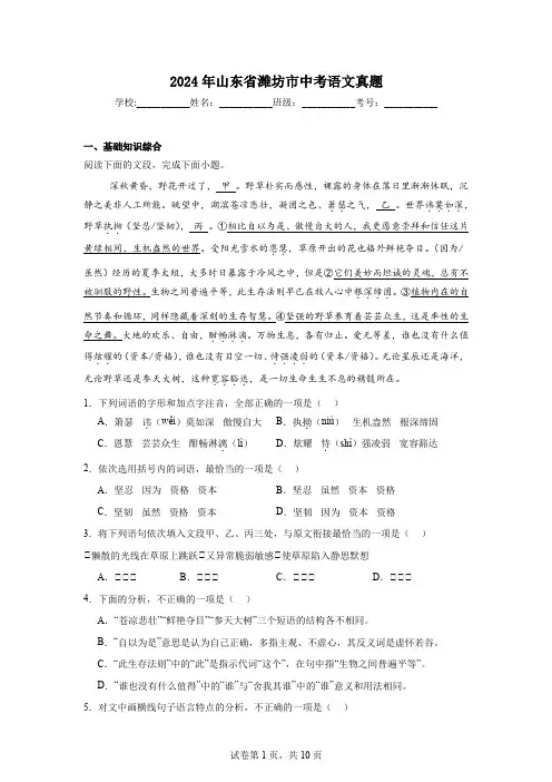 【中考真题】2024年山东省潍坊市中考语文试卷(附答案)